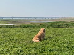 -盘龙城国家考古遗址公园