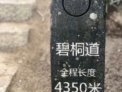 -梧桐山风景名胜区