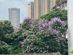 -广州西关永庆坊旅游区
