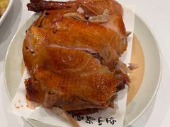 -凯鸽酒楼(操场城店)