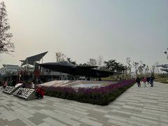 -成飞公园
