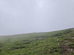 -灵山