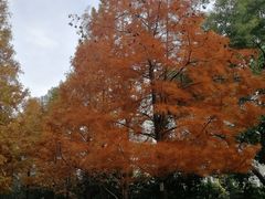 -苏州河梦清园环保主题公园