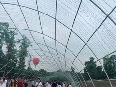 -秀丽东方