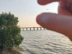 -宝安西湾红树林湿地公园