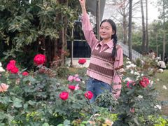 -人民公园(罗湖区)