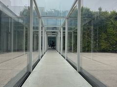 -金泽21世纪美术馆