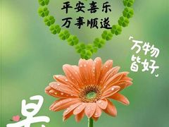 -荒岛实景沉浸密室(江汉路1店)