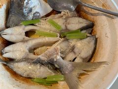 -陈鹏鹏潮汕菜(欢乐海岸 海边景观店)