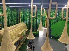 -黄海国家森林公园