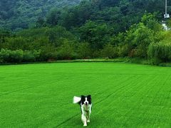-秦岭终南山世界地质公园翠华山景区
