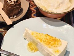 -古树酸奶(八廓南街店)