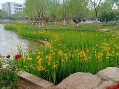 -西海子公园