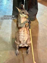 -Zoolung Zoolung动物主题公园(海信广场店)