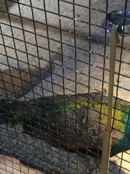 -酷嗒动物文化乐园(cutezoo西溪乐天城店)