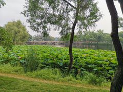 -承德避暑山庄景区