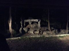 -清迈夜间动物园