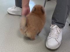 -美美宠物诊疗中心·异宠·骨科(滨江东信分院)