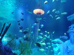 -沈阳海洋探索中心