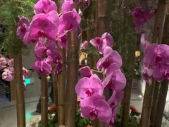 -浅深Cheersum(曹杨店)