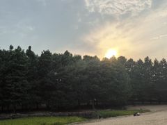 -诺贝尔湖公园