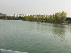 -羊山湖公园