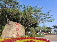 -野狸岛