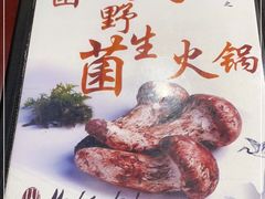 -菌之家·专业纯野生菌火锅·特色炒菌
