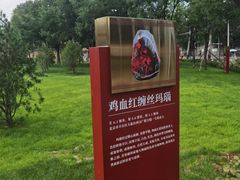 -北京大葆台遗址博物馆