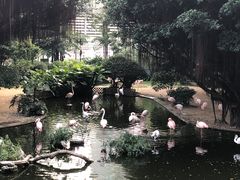 -九龙公园