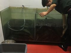 大堂-百岁我家酸菜鱼(龙湾万达店)