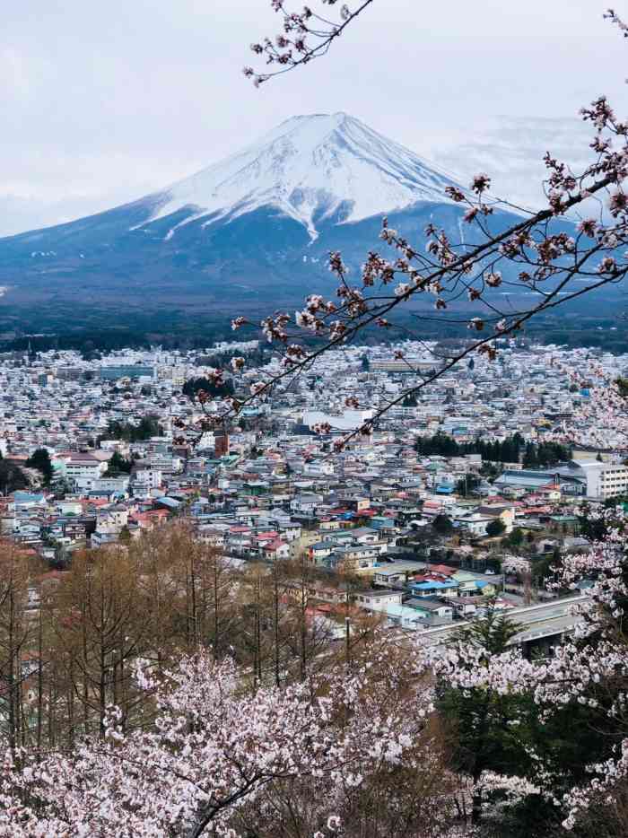 新仓山浅间公园-"新仓浅间神社可以说是富士山观景的绝佳地点.