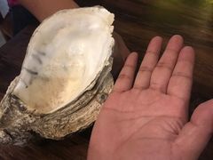 -土蚝·高压锅生蚝(百姓美食街店)