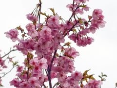 -梁鸿国家湿地公园