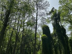 -上海月湖雕塑公园