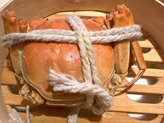 -金茂君悦·食在56海鲜自助餐厅ON56