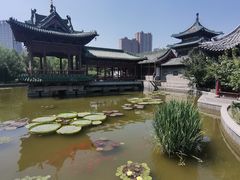 -迎泽公园