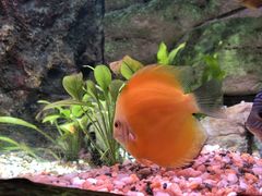 -上海海洋水族馆