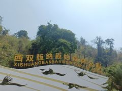 -西双版纳原始森林公园