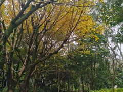 -西湖公园(鼓楼区)