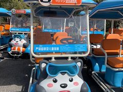 -上海海湾国家森林公园