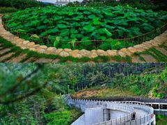 -沂蒙山旅游区云蒙景区(蒙山国家森林公园)