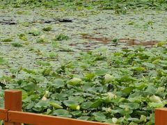 -1970南湖影视基地(建设南路店)