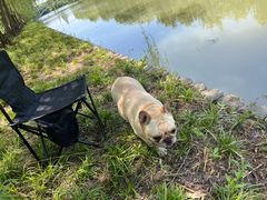 -广富林郊野公园