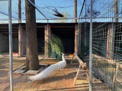 -渌洋湖湿地公园