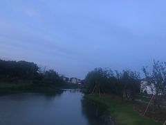 -周浦花海-停车场