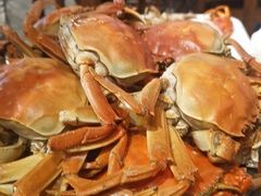-半岛听涛蒸汽海鲜自助(K11店)