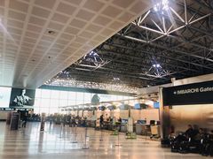 -米兰马尔彭萨国际机场