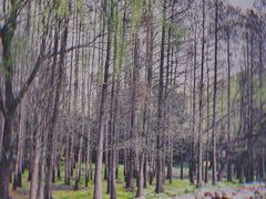 -蠡湖大桥公园