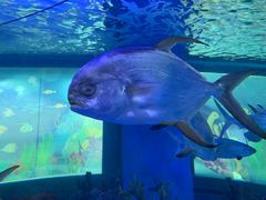 -常州海昌海洋探索馆